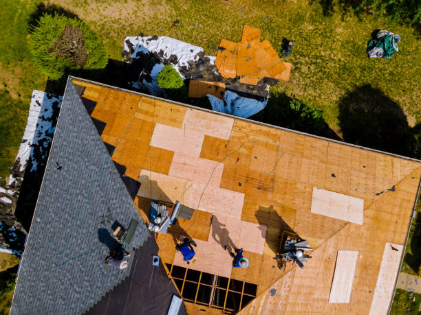 Best Roof Repair Services  in Robinhood, MS