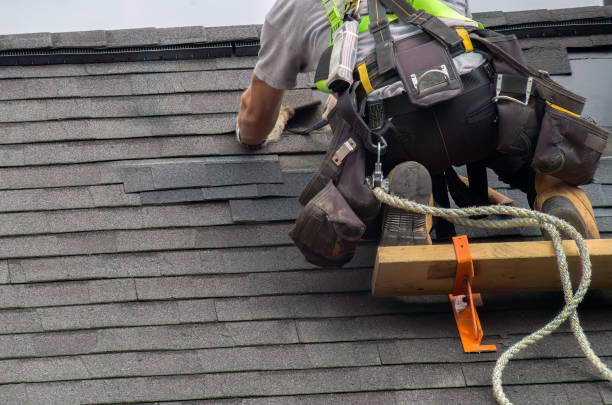 Best Roof Gutter Cleaning  in Robinhood, MS