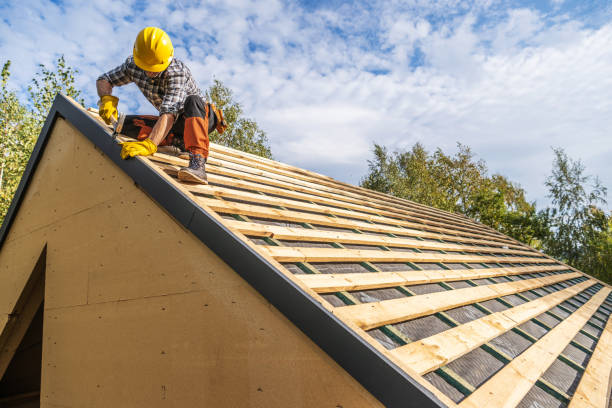 Best Roof Waterproofing Services  in Robinhood, MS