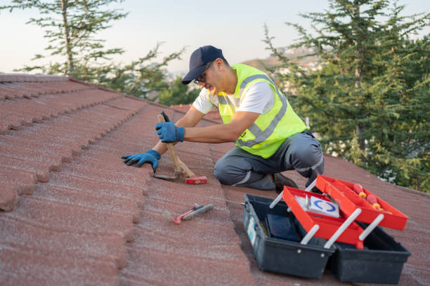 Best Best Roofing Contractors  in Robinhood, MS