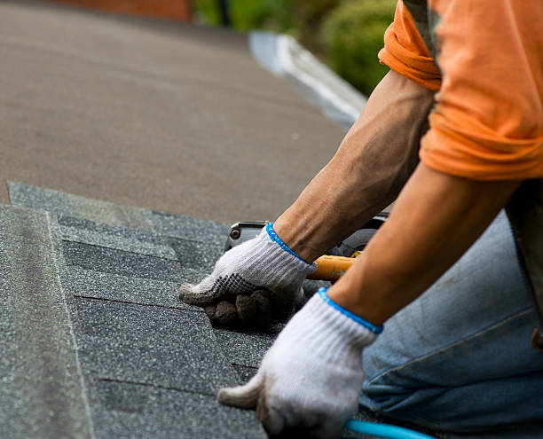 Best Commercial Roofing Services  in Robinhood, MS
